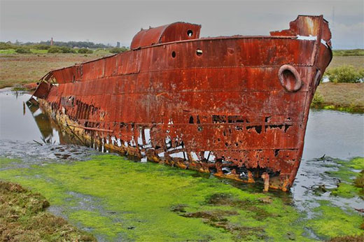 Port Adelaide Shipwreck Grove
