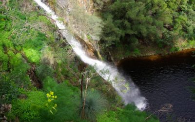 10 Walking and Hiking Trails in and Around Adelaide